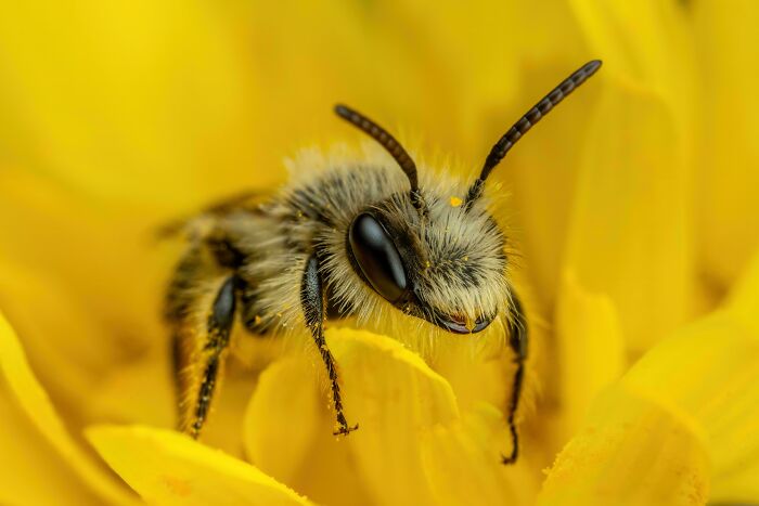 74 Amazing And Beautiful Photos That Might Make You Appreciate Animals Even More (New Pics)