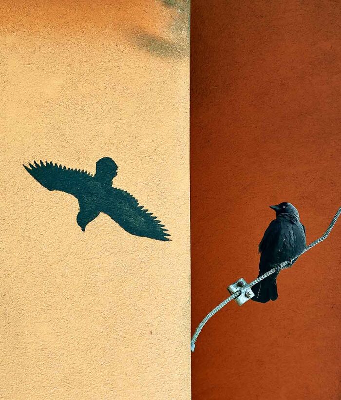 76 Breathtaking Wildlife Photos From The NPOTY People’s Choice Award Over The Years 76 Breathtaking Wildlife Photos From The NPOTY People’s Choice Award Over The Years