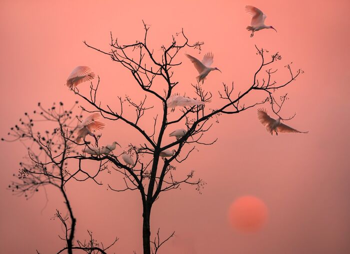 76 Breathtaking Wildlife Photos From The NPOTY People’s Choice Award Over The Years 76 Breathtaking Wildlife Photos From The NPOTY People’s Choice Award Over The Years