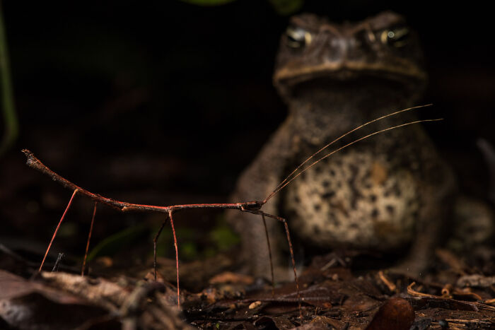 76 Breathtaking Wildlife Photos From The NPOTY People’s Choice Award Over The Years 76 Breathtaking Wildlife Photos From The NPOTY People’s Choice Award Over The Years