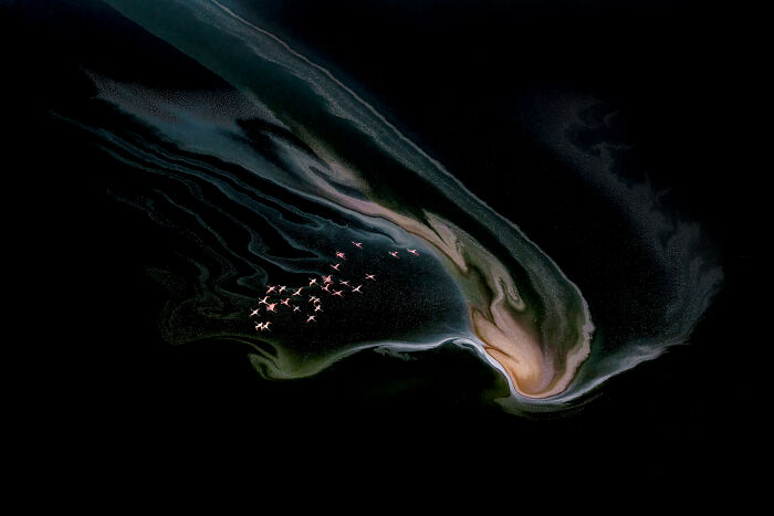 76 Breathtaking Wildlife Photos From The NPOTY People’s Choice Award Over The Years 76 Breathtaking Wildlife Photos From The NPOTY People’s Choice Award Over The Years