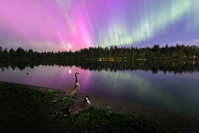 76 Breathtaking Wildlife Photos From The NPOTY People’s Choice Award Over The Years 76 Breathtaking Wildlife Photos From The NPOTY People’s Choice Award Over The Years