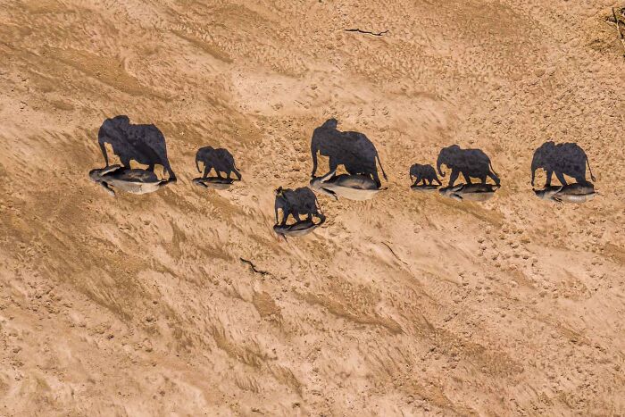 76 Breathtaking Wildlife Photos From The NPOTY People’s Choice Award Over The Years 76 Breathtaking Wildlife Photos From The NPOTY People’s Choice Award Over The Years