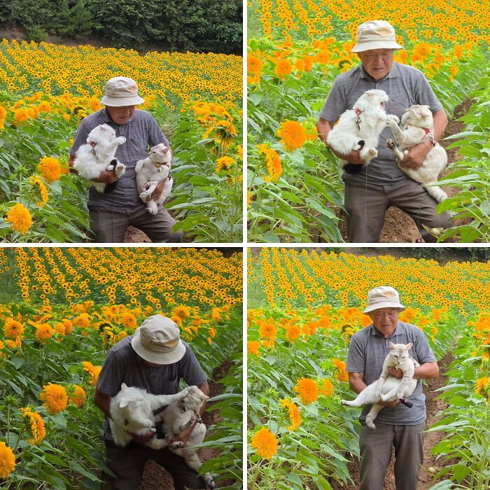 This Grandpa Takes His Adorable Cats To Lovely Scenery, But They Keep Fighting Instead Of Posing (20 Pics) This Grandpa Takes His Adorable Cats To Lovely Scenery, But They Keep Fighting Instead Of Posing (20 Pics)