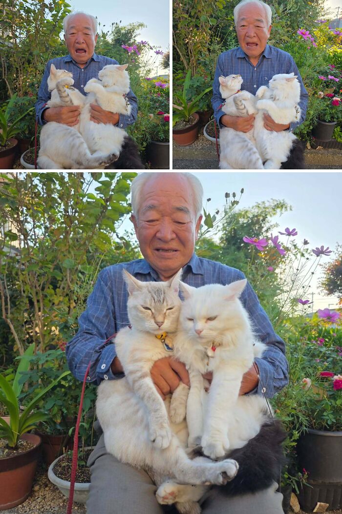 This Grandpa Takes His Adorable Cats To Lovely Scenery, But They Keep Fighting Instead Of Posing (20 Pics) This Grandpa Takes His Adorable Cats To Lovely Scenery, But They Keep Fighting Instead Of Posing (20 Pics)