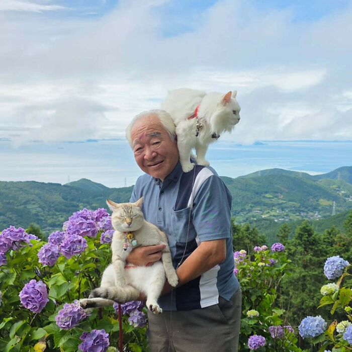 This Grandpa Takes His Adorable Cats To Lovely Scenery, But They Keep Fighting Instead Of Posing (20 Pics) This Grandpa Takes His Adorable Cats To Lovely Scenery, But They Keep Fighting Instead Of Posing (20 Pics)