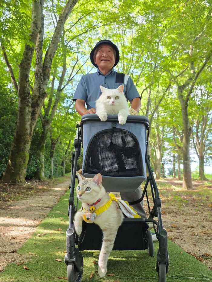 This Grandpa Takes His Adorable Cats To Lovely Scenery, But They Keep Fighting Instead Of Posing (20 Pics) This Grandpa Takes His Adorable Cats To Lovely Scenery, But They Keep Fighting Instead Of Posing (20 Pics)