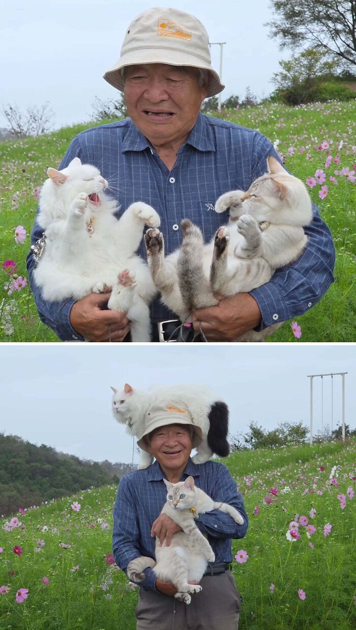 This Grandpa Takes His Adorable Cats To Lovely Scenery, But They Keep Fighting Instead Of Posing (20 Pics) This Grandpa Takes His Adorable Cats To Lovely Scenery, But They Keep Fighting Instead Of Posing (20 Pics)