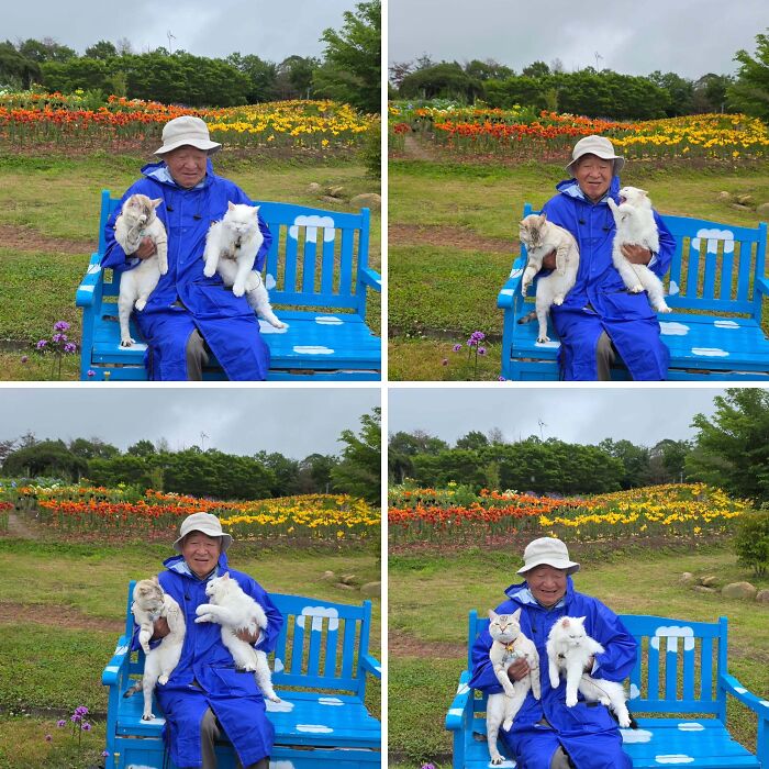 This Grandpa Takes His Adorable Cats To Lovely Scenery, But They Keep Fighting Instead Of Posing (20 Pics) This Grandpa Takes His Adorable Cats To Lovely Scenery, But They Keep Fighting Instead Of Posing (20 Pics)