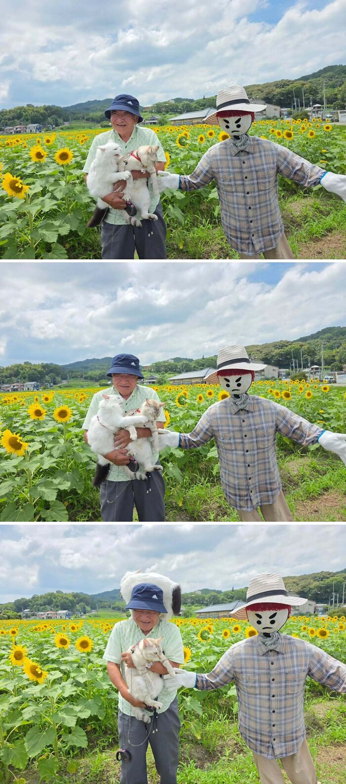 This Grandpa Takes His Adorable Cats To Lovely Scenery, But They Keep Fighting Instead Of Posing (20 Pics) This Grandpa Takes His Adorable Cats To Lovely Scenery, But They Keep Fighting Instead Of Posing (20 Pics)