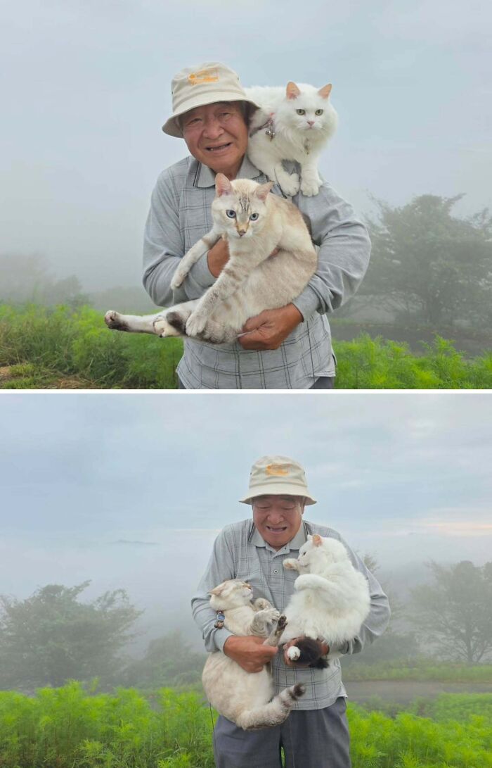 This Grandpa Takes His Adorable Cats To Lovely Scenery, But They Keep Fighting Instead Of Posing (20 Pics) This Grandpa Takes His Adorable Cats To Lovely Scenery, But They Keep Fighting Instead Of Posing (20 Pics)