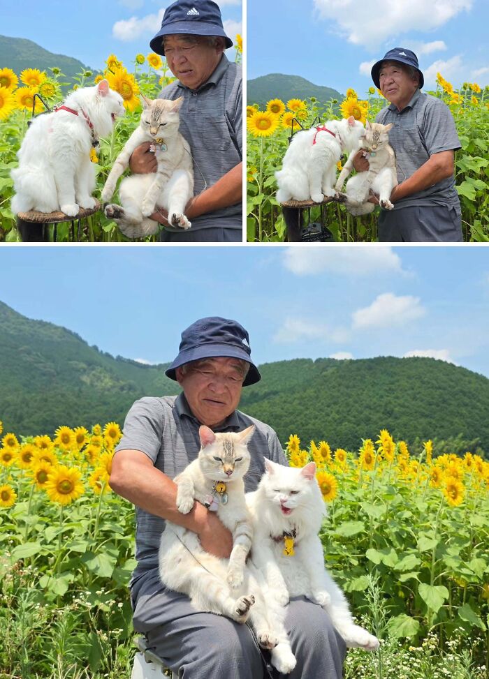 This Grandpa Takes His Adorable Cats To Lovely Scenery, But They Keep Fighting Instead Of Posing (20 Pics) This Grandpa Takes His Adorable Cats To Lovely Scenery, But They Keep Fighting Instead Of Posing (20 Pics)