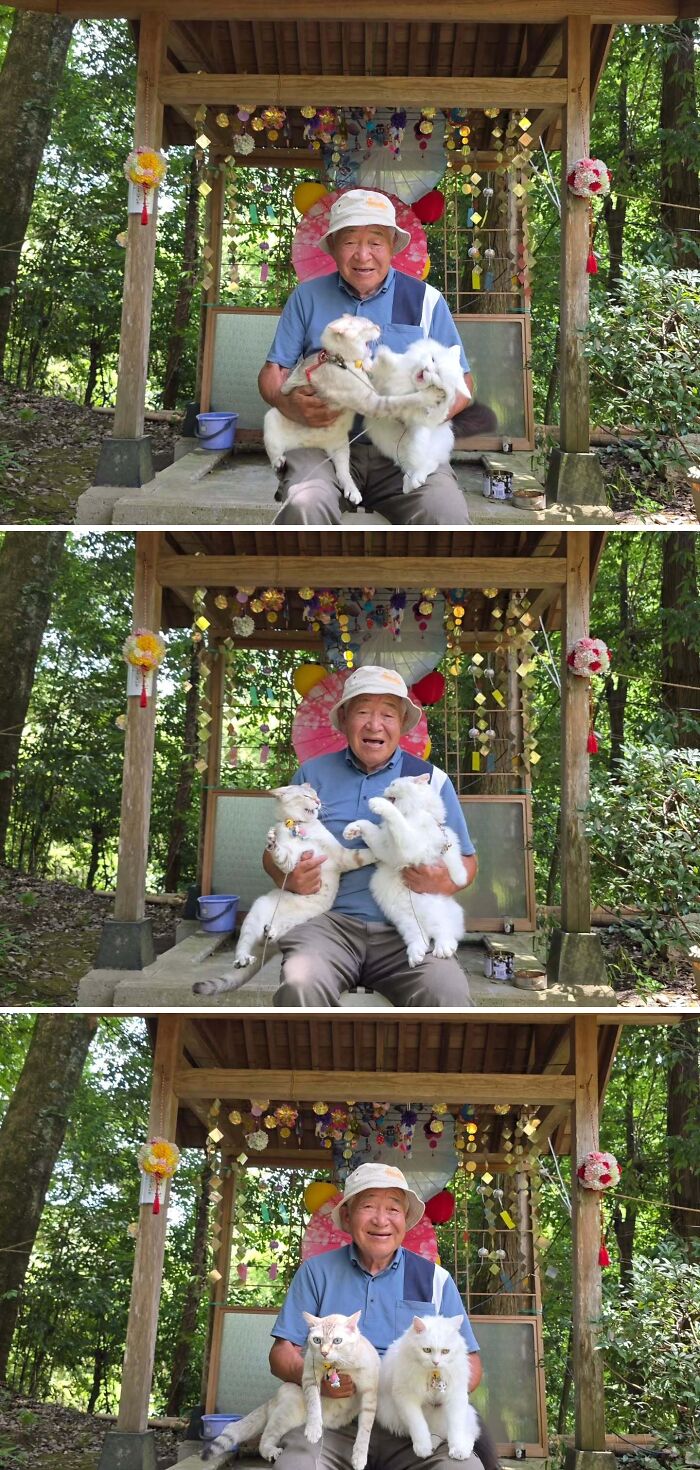 This Grandpa Takes His Adorable Cats To Lovely Scenery, But They Keep Fighting Instead Of Posing (20 Pics) This Grandpa Takes His Adorable Cats To Lovely Scenery, But They Keep Fighting Instead Of Posing (20 Pics)