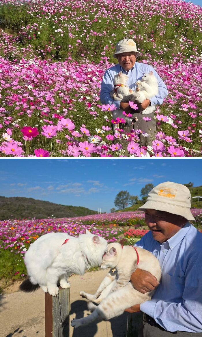 This Grandpa Takes His Adorable Cats To Lovely Scenery, But They Keep Fighting Instead Of Posing (20 Pics) This Grandpa Takes His Adorable Cats To Lovely Scenery, But They Keep Fighting Instead Of Posing (20 Pics)