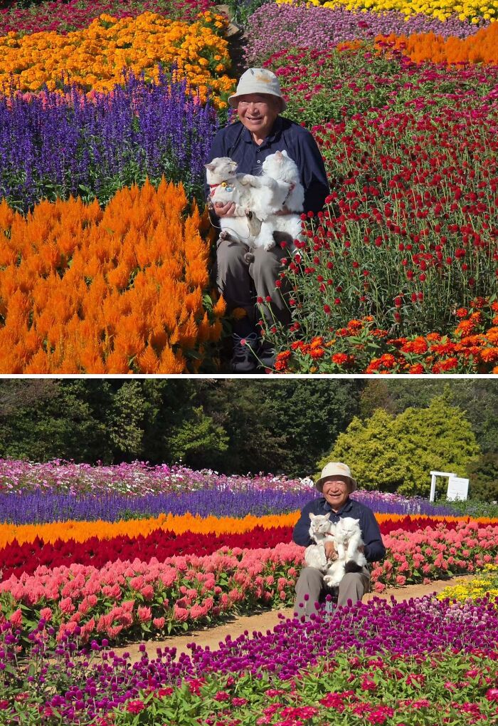 This Grandpa Takes His Adorable Cats To Lovely Scenery, But They Keep Fighting Instead Of Posing (20 Pics) This Grandpa Takes His Adorable Cats To Lovely Scenery, But They Keep Fighting Instead Of Posing (20 Pics)