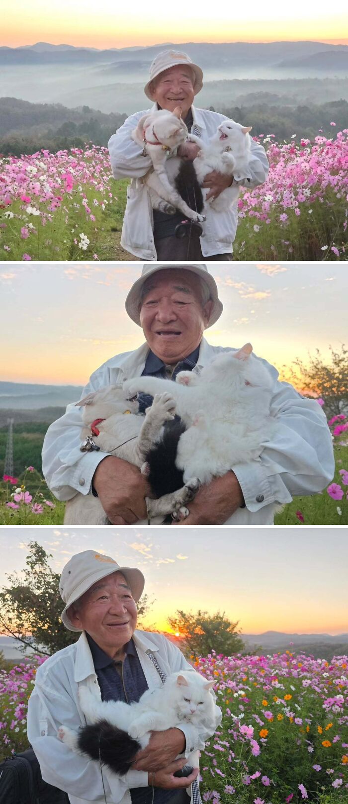 This Grandpa Takes His Adorable Cats To Lovely Scenery, But They Keep Fighting Instead Of Posing (20 Pics) This Grandpa Takes His Adorable Cats To Lovely Scenery, But They Keep Fighting Instead Of Posing (20 Pics)