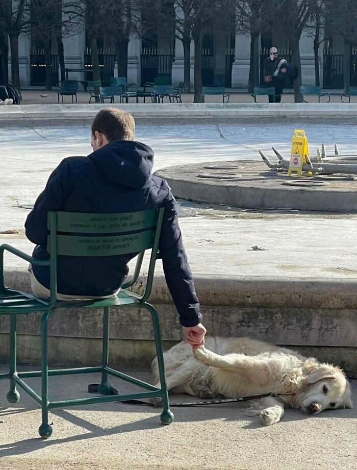 78 Random Photos That Are So Weird And Funny They Deserve A Second Look