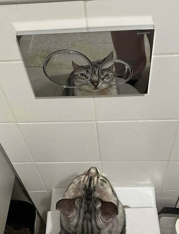 78 Random Photos That Are So Weird And Funny They Deserve A Second Look