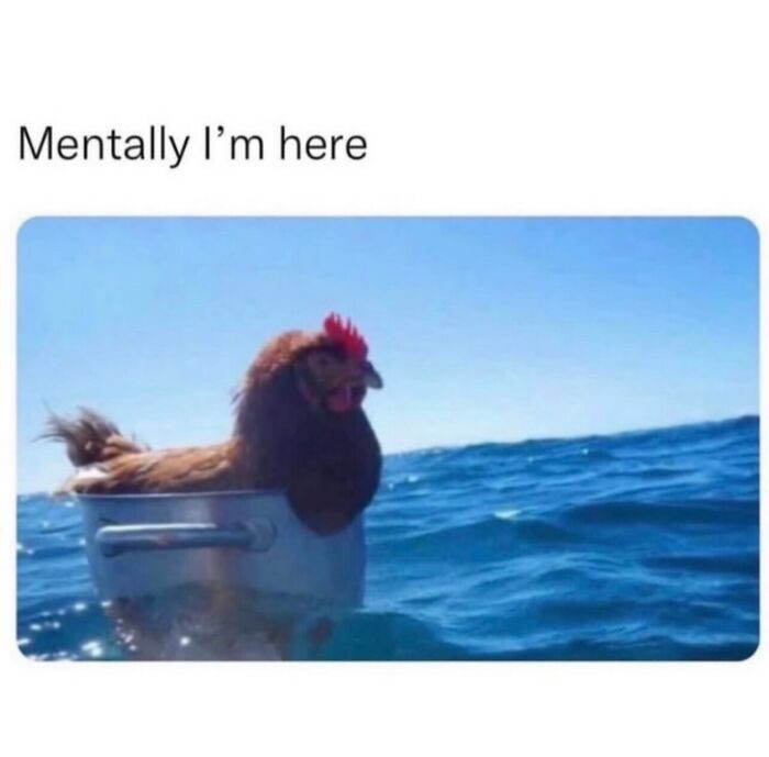 78 Random Photos That Are So Weird And Funny They Deserve A Second Look