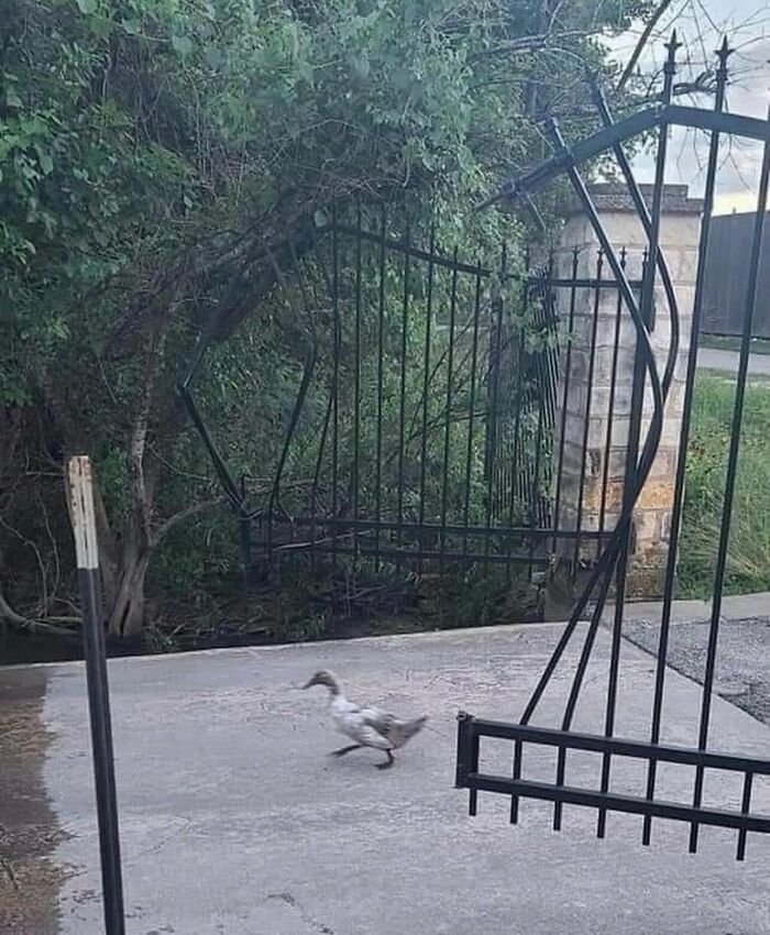 78 Random Photos That Are So Weird And Funny They Deserve A Second Look