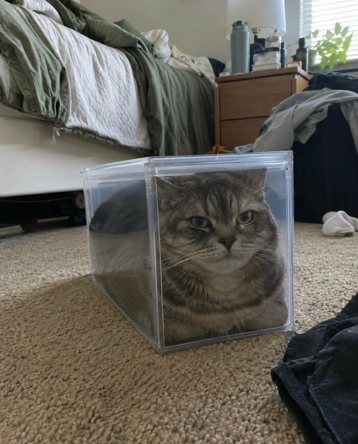 78 Random Photos That Are So Weird And Funny They Deserve A Second Look