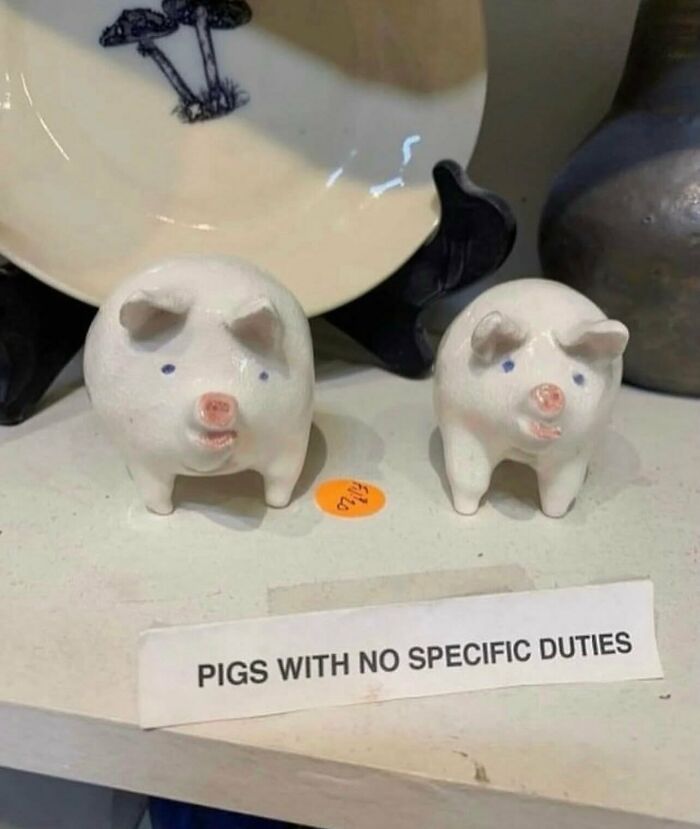 78 Random Photos That Are So Weird And Funny They Deserve A Second Look