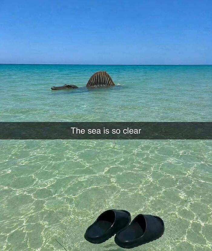 81 Hilarious Pics From A Page That&rsquo;s Dedicated To Sharing Random Yet Amusing Posts (New Pics)