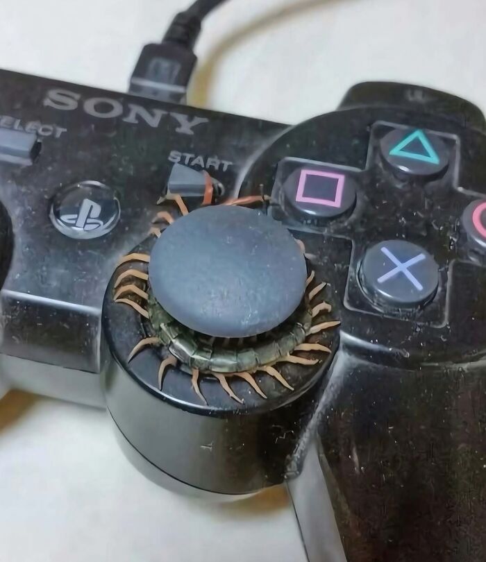 81 Hilarious Pics From A Page That&rsquo;s Dedicated To Sharing Random Yet Amusing Posts (New Pics)