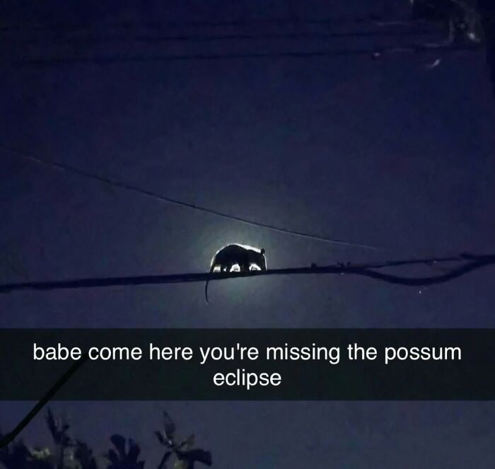 81 Hilarious Pics From A Page That&rsquo;s Dedicated To Sharing Random Yet Amusing Posts (New Pics)