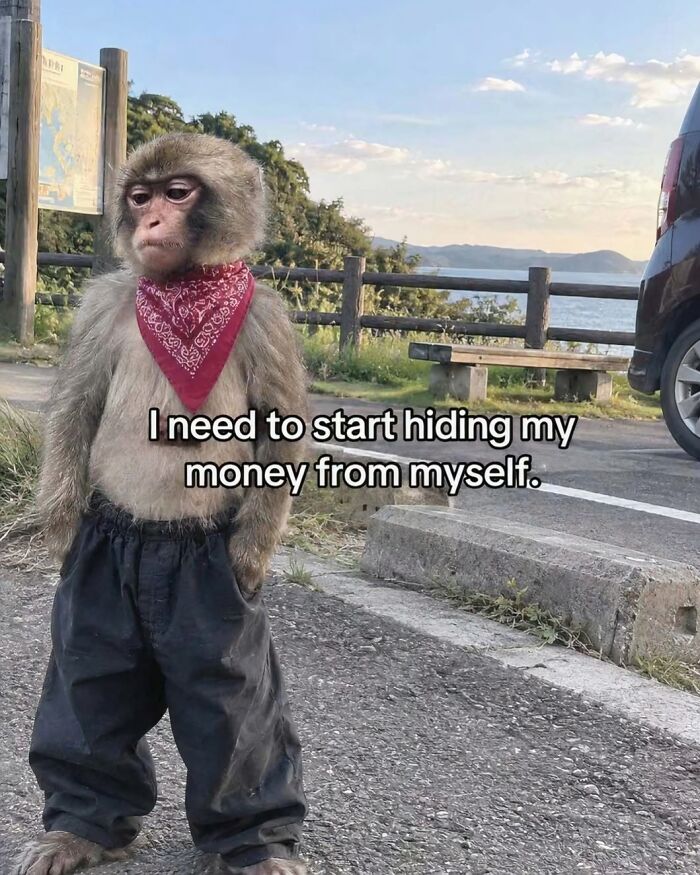 81 Hilarious Pics From A Page That&rsquo;s Dedicated To Sharing Random Yet Amusing Posts (New Pics)