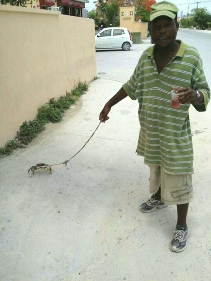 81 Hilarious Pics From A Page That&rsquo;s Dedicated To Sharing Random Yet Amusing Posts (New Pics)
