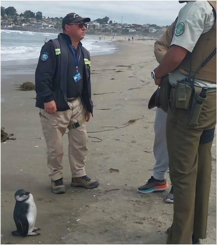 81 Hilarious Pics From A Page That&rsquo;s Dedicated To Sharing Random Yet Amusing Posts (New Pics)