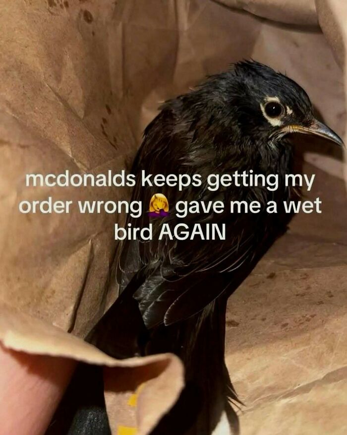81 Hilarious Pics From A Page That&rsquo;s Dedicated To Sharing Random Yet Amusing Posts (New Pics)