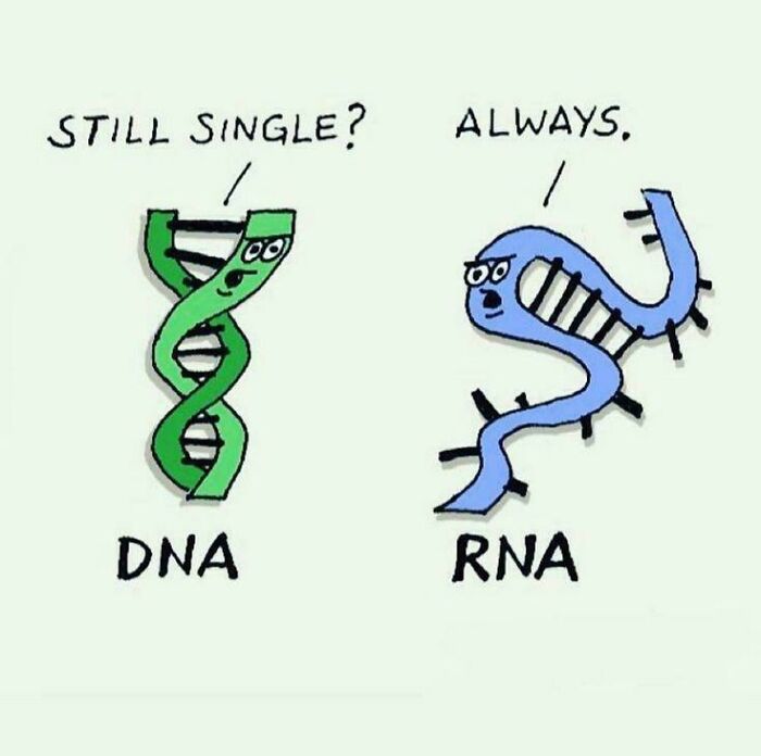 Brainy Biology Memes For Those Who Love A Little Dose Of Science Daily (67 Posts)