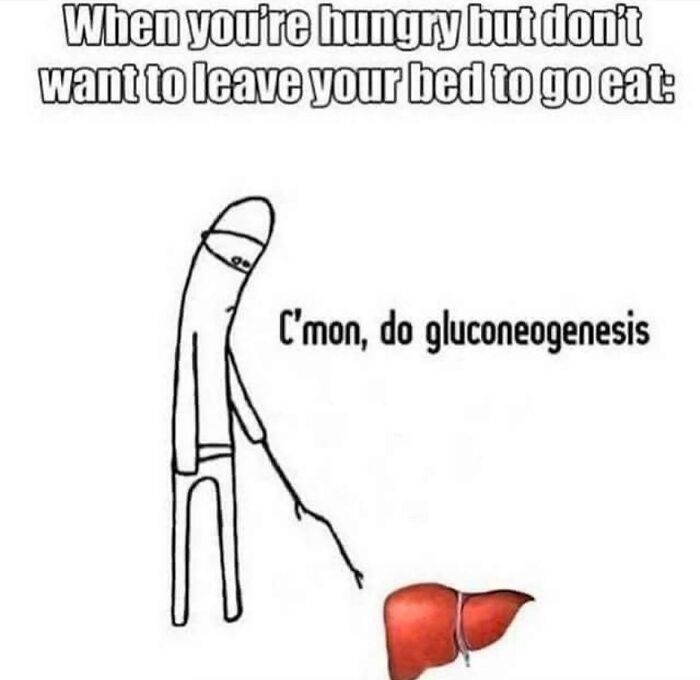 Brainy Biology Memes For Those Who Love A Little Dose Of Science Daily (67 Posts)