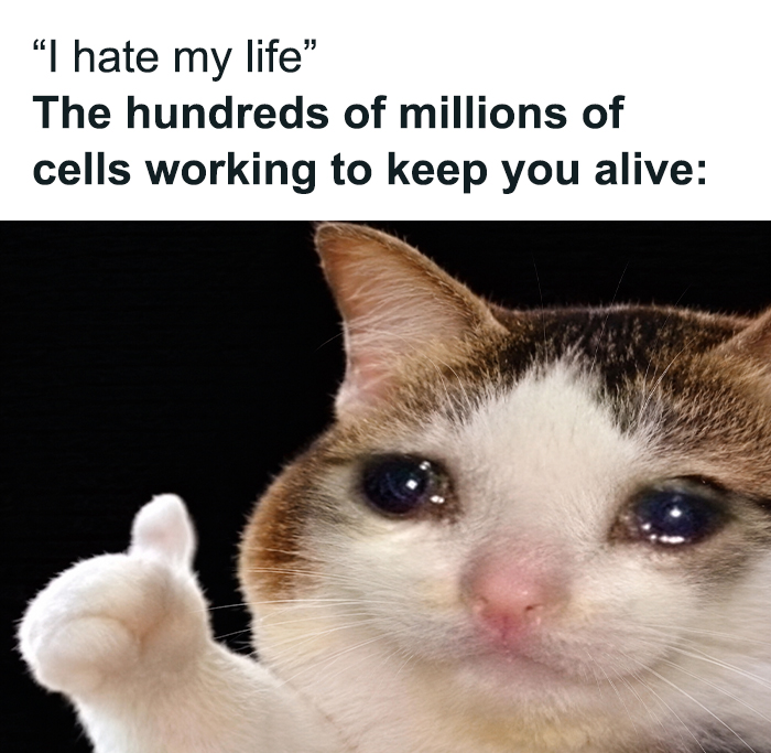 Brainy Biology Memes For Those Who Love A Little Dose Of Science Daily (67 Posts)