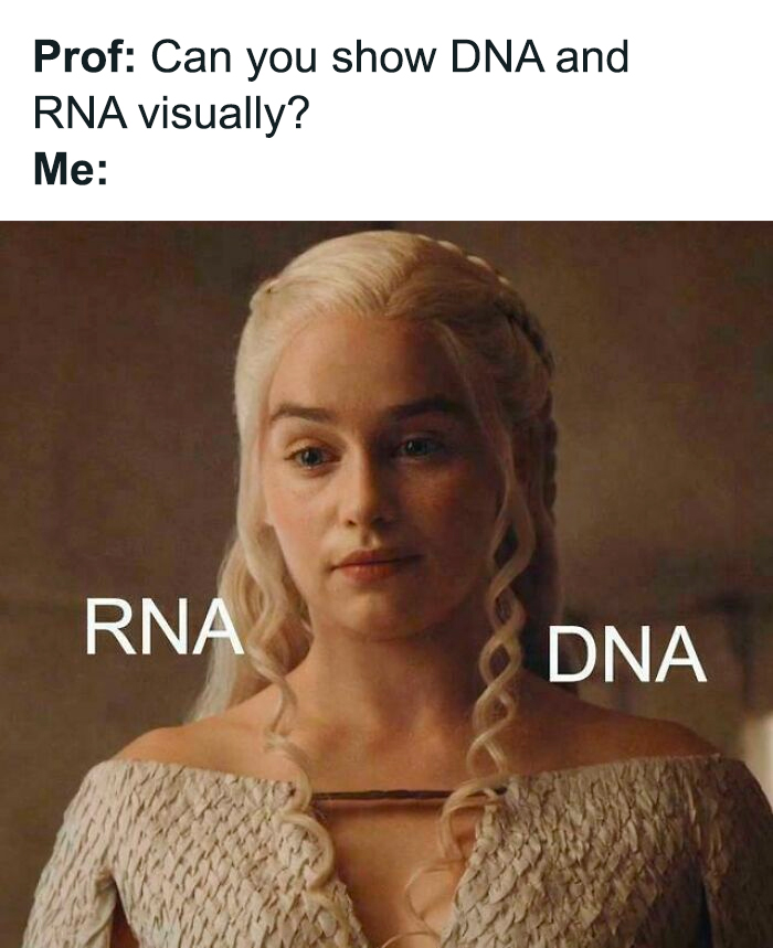 Brainy Biology Memes For Those Who Love A Little Dose Of Science Daily (67 Posts)