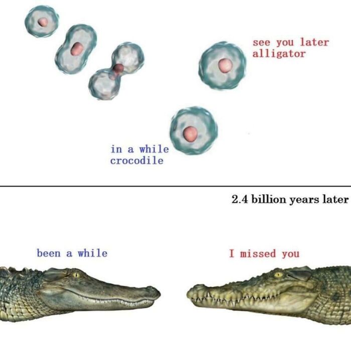 Brainy Biology Memes For Those Who Love A Little Dose Of Science Daily (67 Posts)