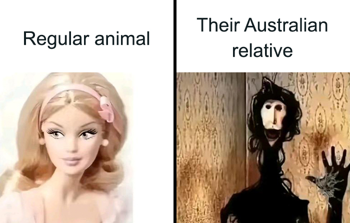 Brainy Biology Memes For Those Who Love A Little Dose Of Science Daily (67 Posts)