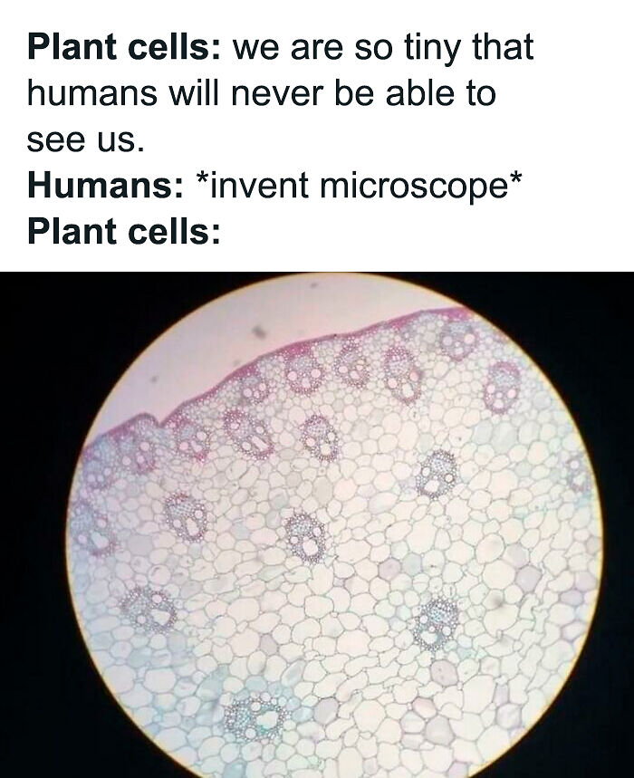 Brainy Biology Memes For Those Who Love A Little Dose Of Science Daily (67 Posts)