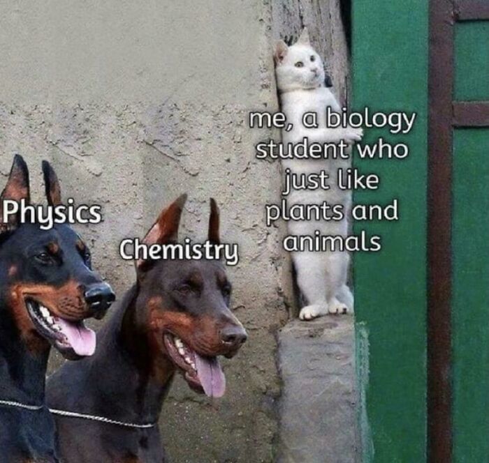 Brainy Biology Memes For Those Who Love A Little Dose Of Science Daily (67 Posts)
