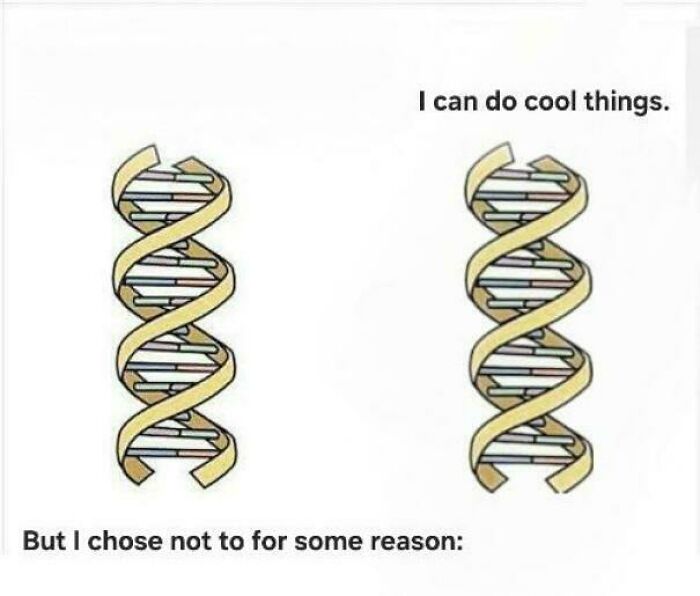 Brainy Biology Memes For Those Who Love A Little Dose Of Science Daily (67 Posts)