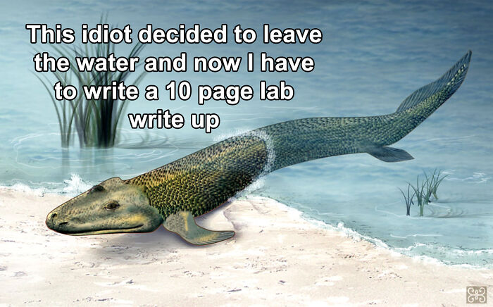 Brainy Biology Memes For Those Who Love A Little Dose Of Science Daily (67 Posts)