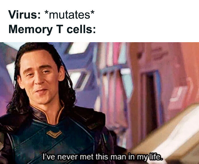 Brainy Biology Memes For Those Who Love A Little Dose Of Science Daily (67 Posts)