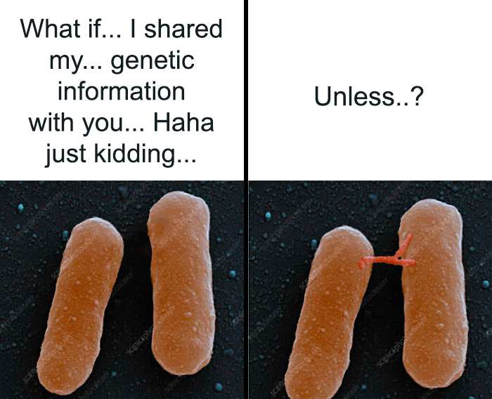 Brainy Biology Memes For Those Who Love A Little Dose Of Science Daily (67 Posts)
