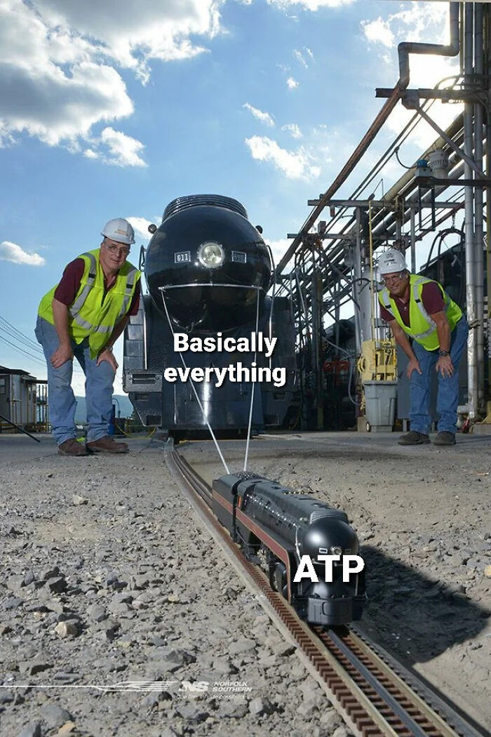 Brainy Biology Memes For Those Who Love A Little Dose Of Science Daily (67 Posts)