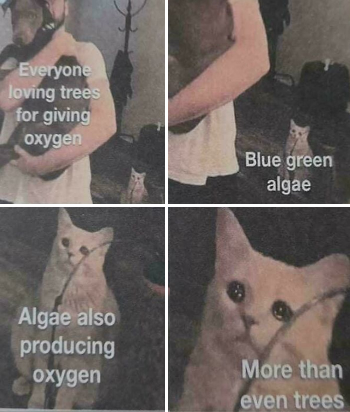 Brainy Biology Memes For Those Who Love A Little Dose Of Science Daily (67 Posts)