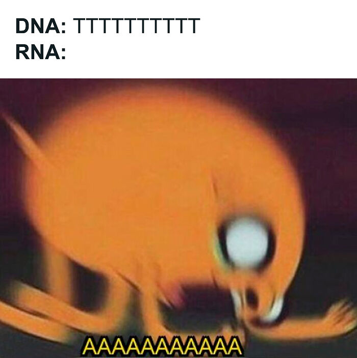 Brainy Biology Memes For Those Who Love A Little Dose Of Science Daily (67 Posts)
