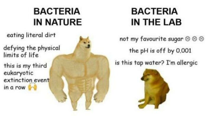 Brainy Biology Memes For Those Who Love A Little Dose Of Science Daily (67 Posts)