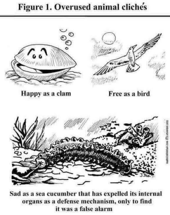 Brainy Biology Memes For Those Who Love A Little Dose Of Science Daily (67 Posts)
